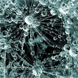 課題 6：微觀世界 II (1小時)